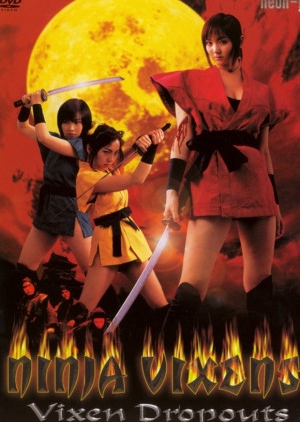 Ninja Vixens: Vixen Dropouts 2006 (Japan)