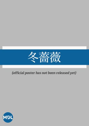 Winter Rose 2022 (Japan)