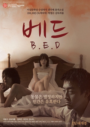 B.E.D 2013 (South Korea)
