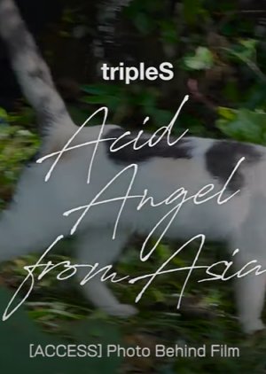 tripleS: Acid Angel from Asia Behind 2022 (South Korea)