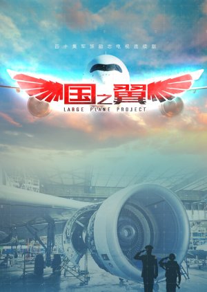 Large Plane Project  (China)