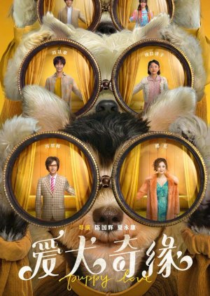 Puppy Love 2022 (China)
