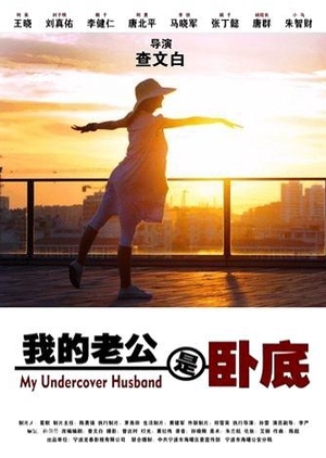 My Undercover Husband 2014 (China)