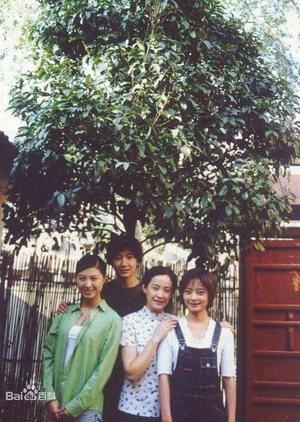 My Family Tree  (China)