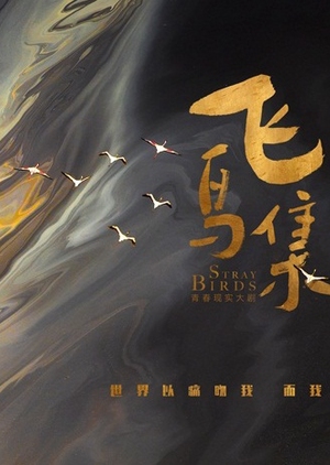 Stray Birds 2019 (China)