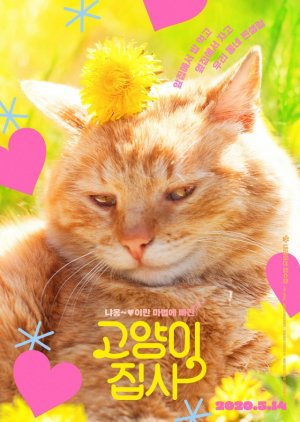 Our Cat 2020 (South Korea)