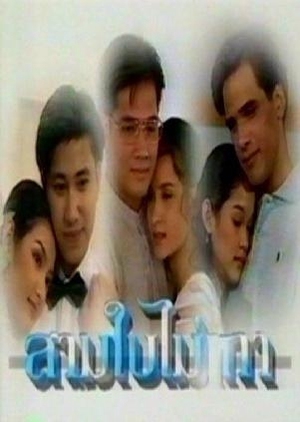Sam Bai Mai Thao 1995 (Thailand)