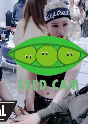 3YE SEED CAM 2019 (South Korea)