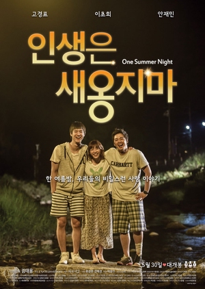 One Summer Night 2014 (South Korea)
