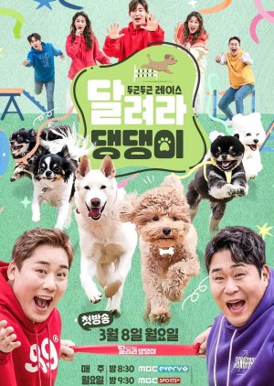 Run Puppy Run 2021 (South Korea)