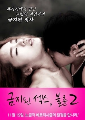 Forbidden Sex 2: Affair 2012 (South Korea)