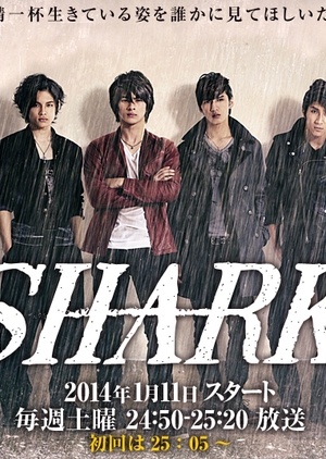 SHARK (Japan) 2014