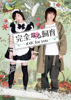 Perfect Education 7: Maid for You 2010 (Japan)