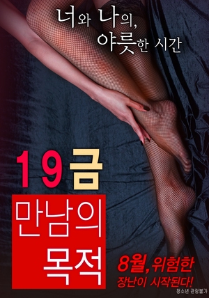 The Purpose of An X-Rated Encounter 2016 (South Korea)