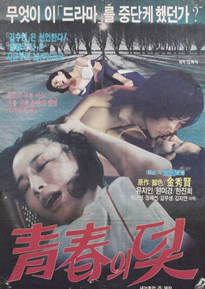 The Trappings of Youth 1979 (South Korea)