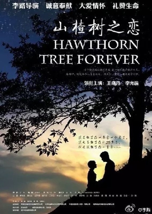Hawthorn Tree Forever  (China)