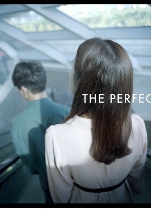 The Perfect Wife  (South Korea)