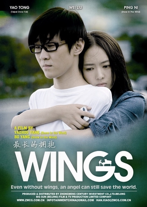 Wings 2012 (China)