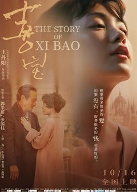 The Story of Xi Bao 2020 (China)