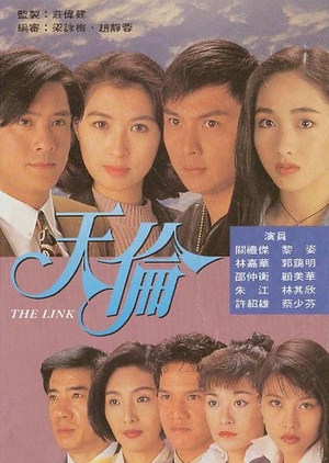 The Link 1993 (Hong Kong)