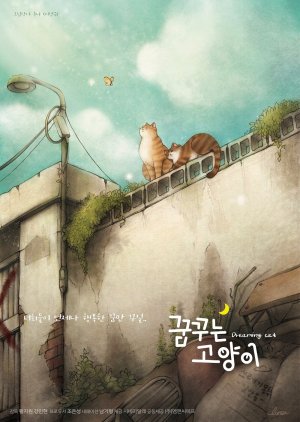 Dreaming Cat 2021 (South Korea)