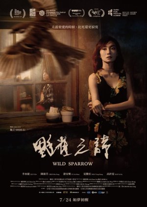 Wild Sparrow 2020 (Taiwan)