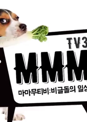 MMMTV3 2017 (South Korea)