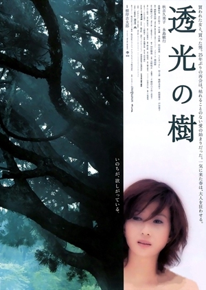 Translucent Tree 2004 (Japan)