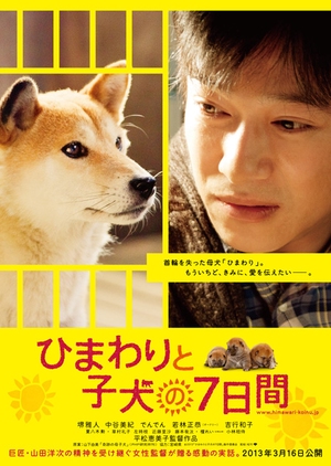 7 Days of Himawari & Her Puppies 2013 (Japan)
