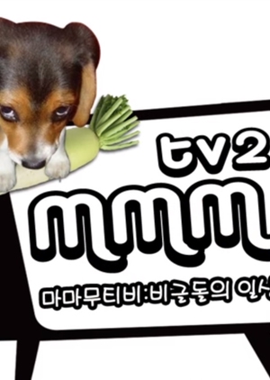 MMMTV2 2015 (South Korea)