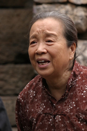 Li Ming Qi